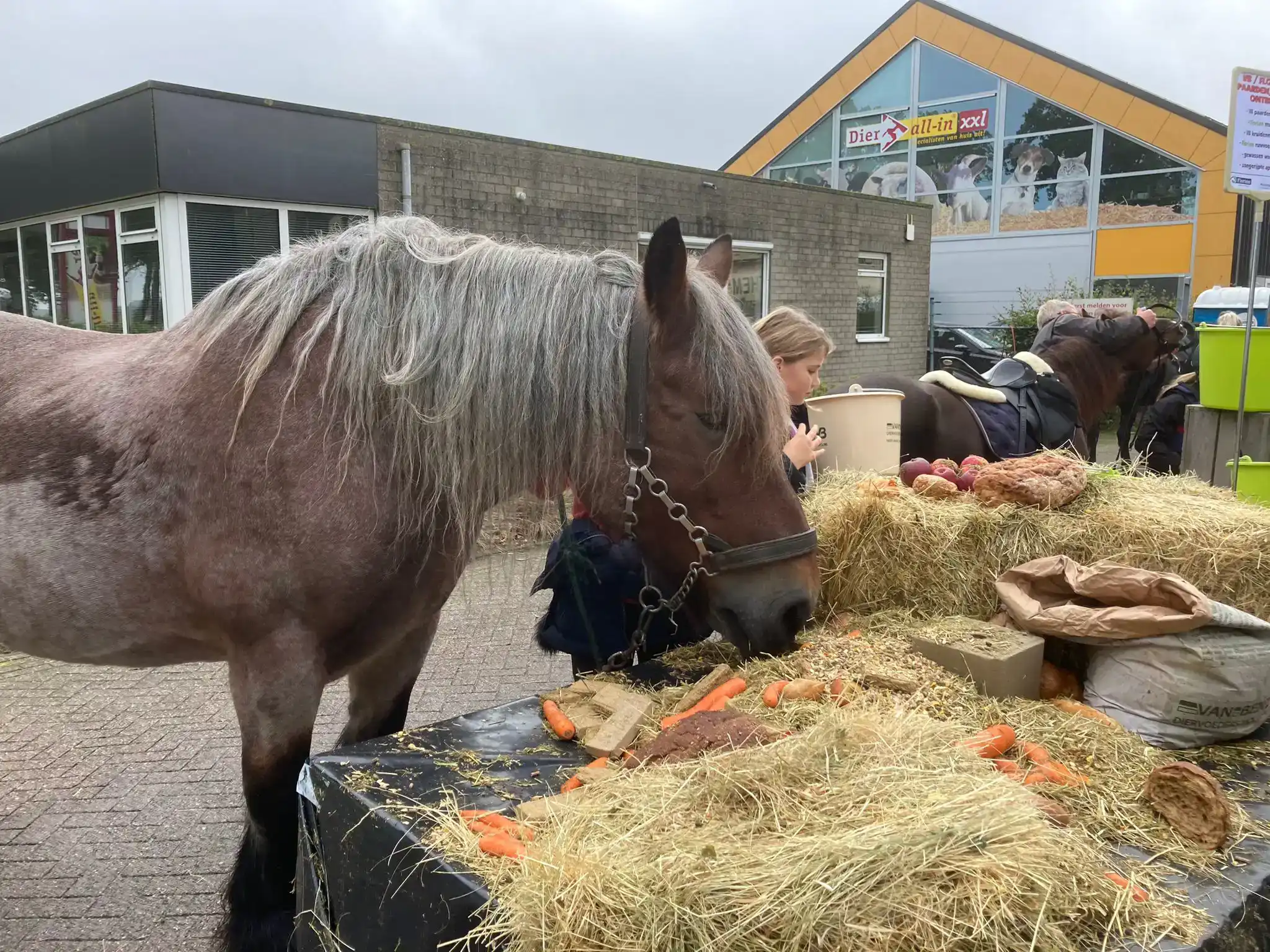 Paardentoertocht 2025