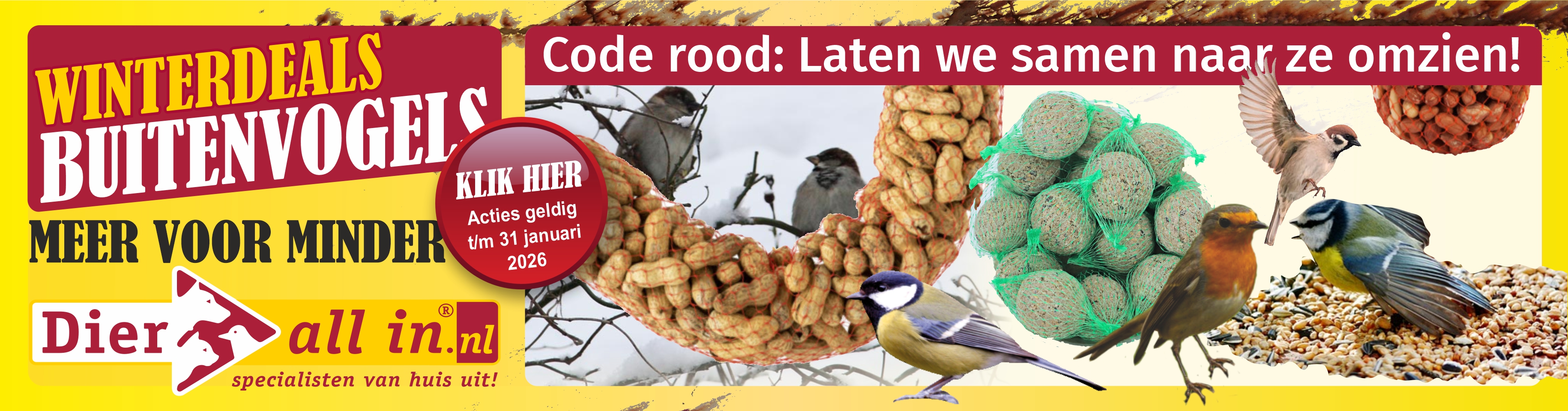 Winter buitenvogels Winter buitenvogels