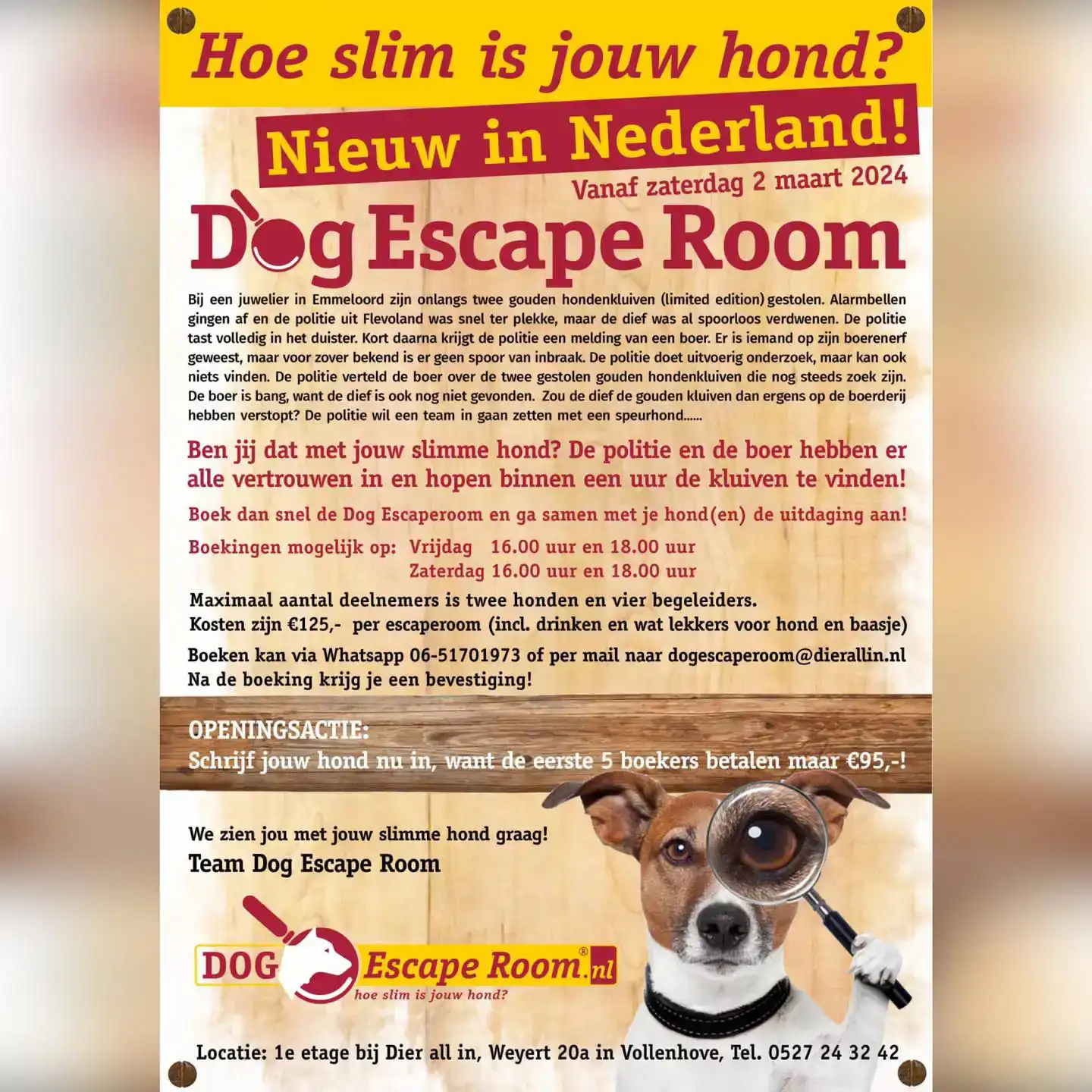 dog-escape-room