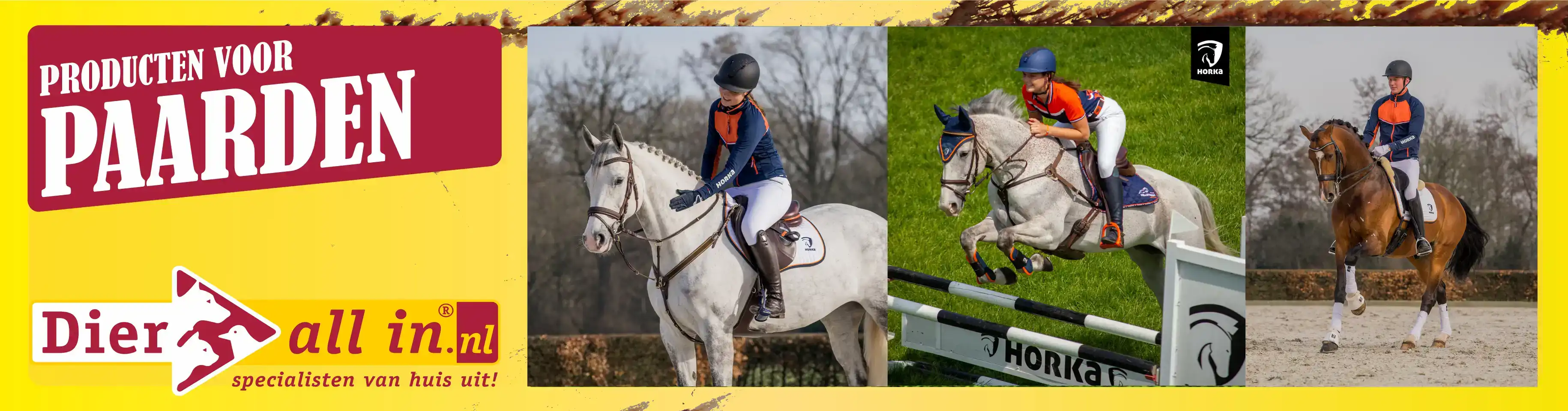 Paard