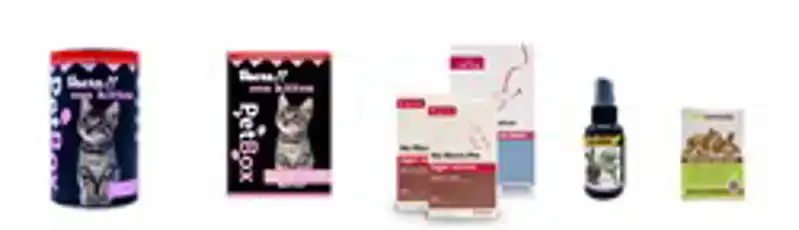 PETBOX KITTEN VAN 8-20 WEKEN