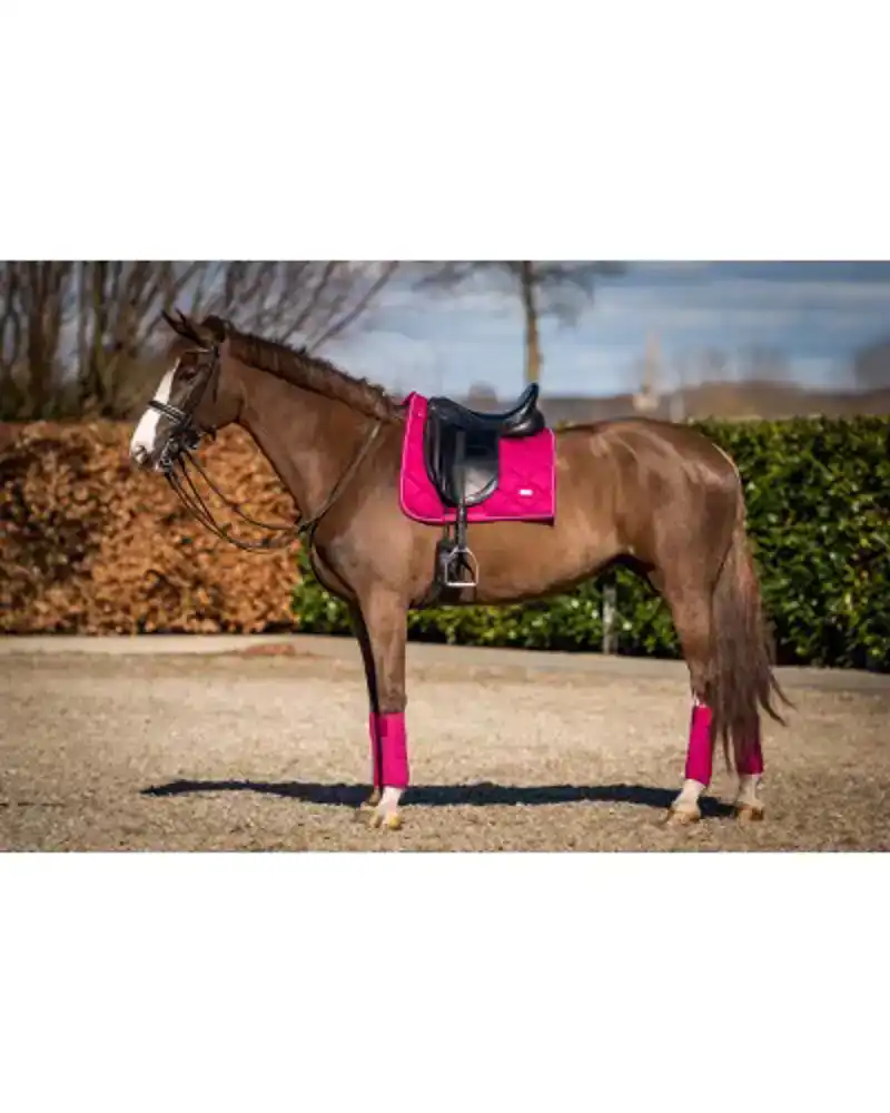 SHOWTIME CROWN DRESSUUR ZADELDEK RASPBERRY FULL