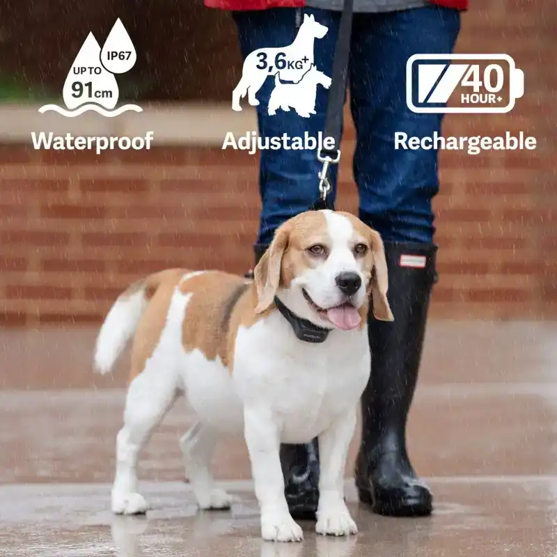 PETSAFE AUDIBLE BARK COLLAR