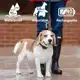 PETSAFE AUDIBLE BARK COLLAR