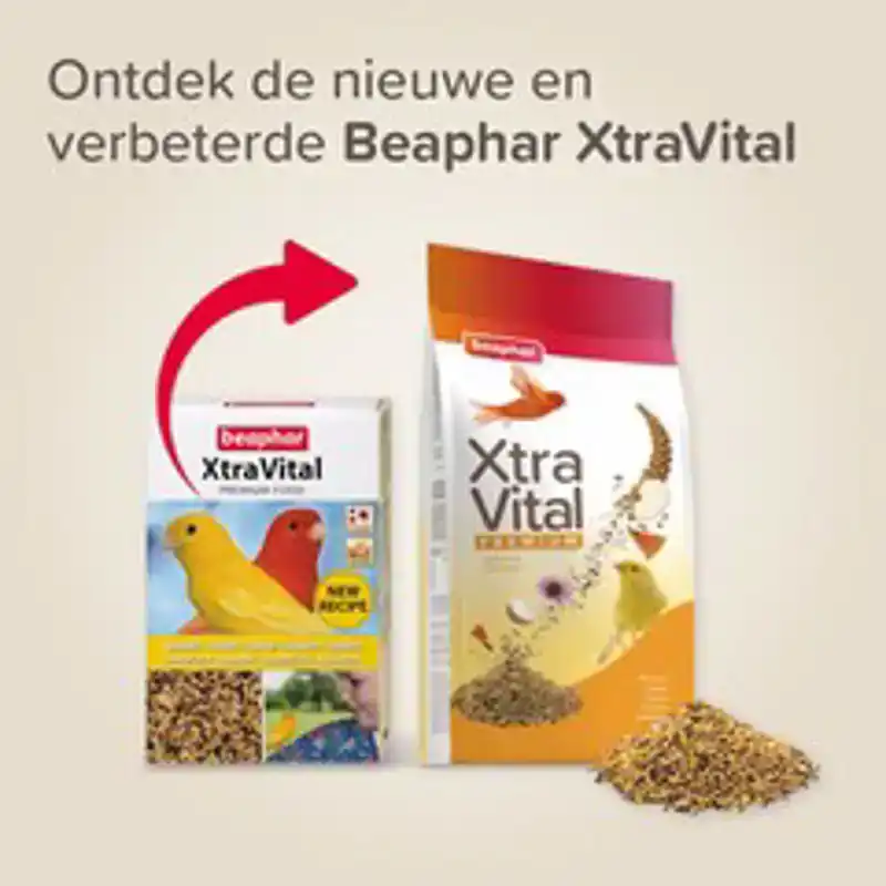 XTRAVITAL KANARIE 500G
