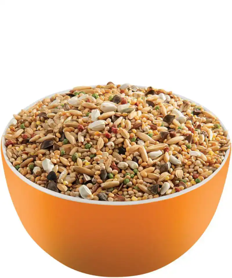 PRESTIGE LORO PARQUE AFRICAN PARAKEET MIX 20KG