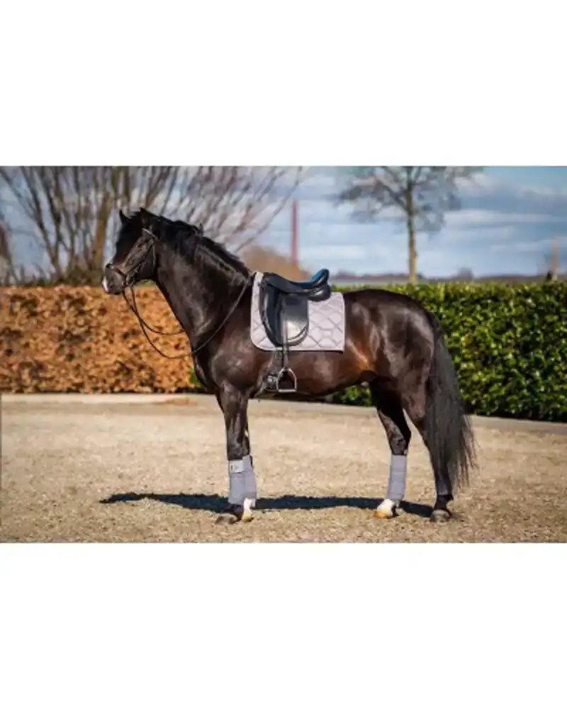 SHOWTIME CROWN DRESSUUR ZADELDEK GRIJS FULL