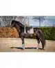 SHOWTIME CROWN DRESSUUR ZADELDEK GRIJS FULL