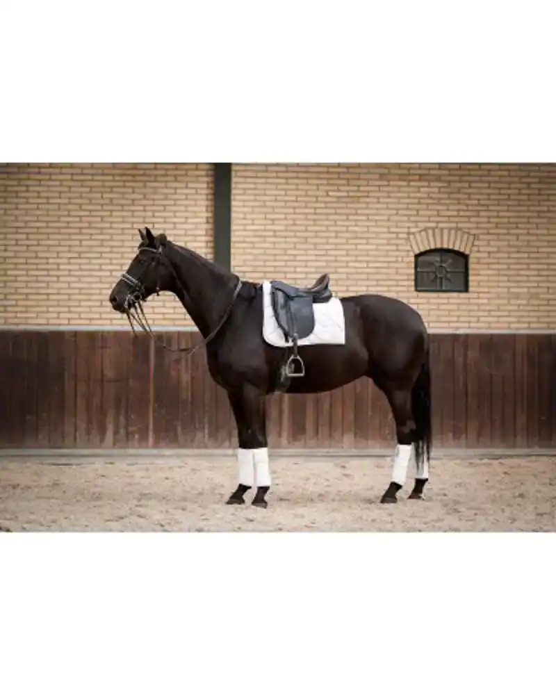 SHOWTIME CROWN DRESSUUR ZADELDEK WIT FULL