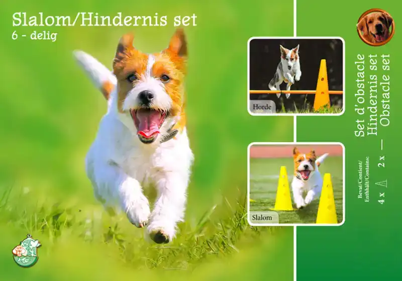 AGILITY SLALOM EN HINDERNISSEN-SET 6-DELIG