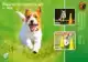 AGILITY SLALOM EN HINDERNISSEN-SET 6-DELIG