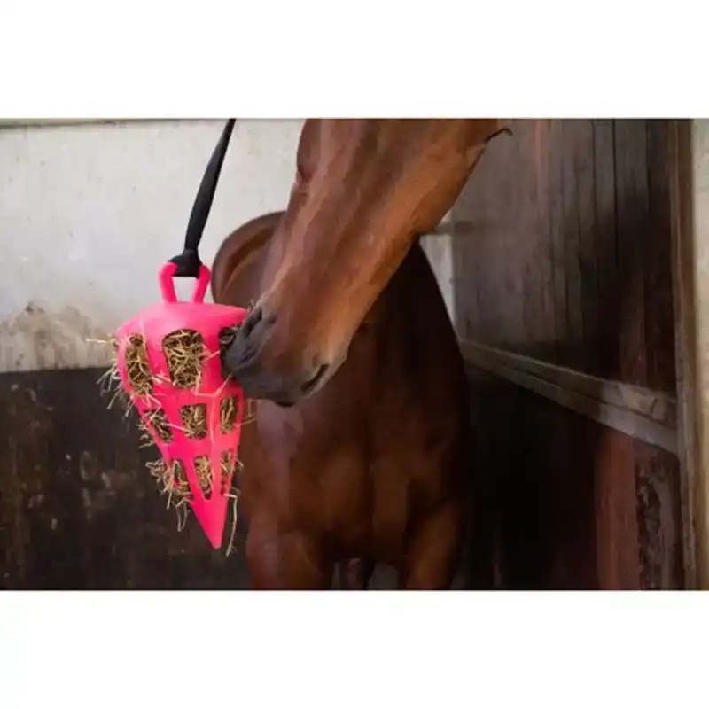 HAY SLOWFEEDER FUN AND FLEX 22 CM ROZE WORTEL