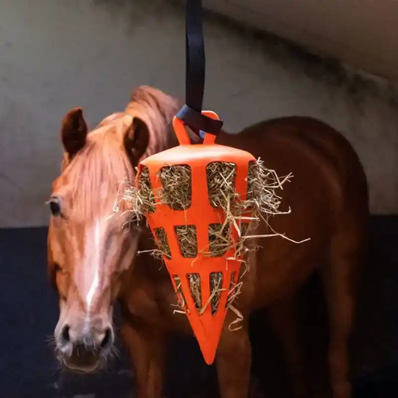 HAY SLOWFEEDER FUN AND FLEX 22 CM ORANJE WORTEL