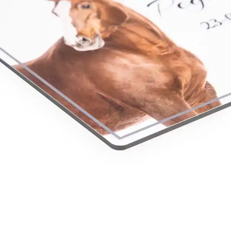 ONTWERP EEN STALBORD VOOR JOUW PAARD!