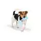 EBI PETIT KAUWSPEELTJE CLEO 8X6,5X1CM BLAUW