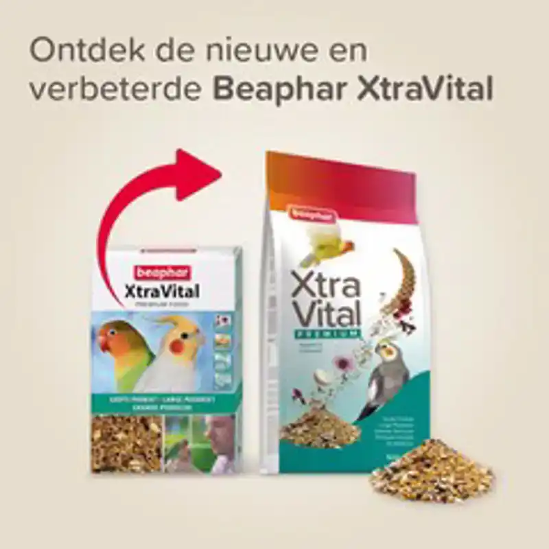 XTRAVITAL GROTE PARKIET 1KG