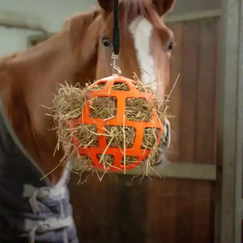 HAY SLOWFEEDER FUN AND FLEX 22 CM ORANJE