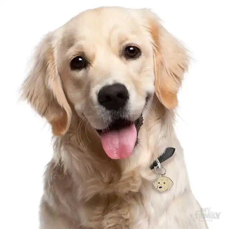 PENNING GOLDEN RETRIEVER L000012297