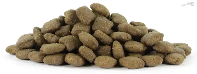 NATURAL HEALTH DOG FISH & RICE PUPPY LARGE BITE 7,5KG