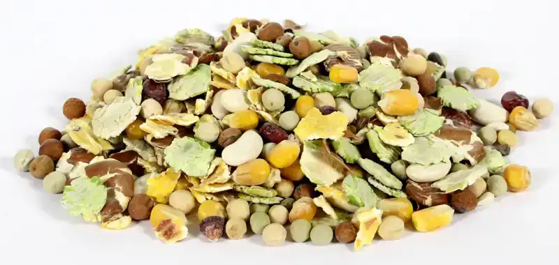 PET SALAD - MEXICAN DELIGHT VOGEL 250 GRAM