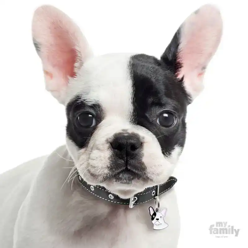 PENNING FRENCH BULLDOG L000012297