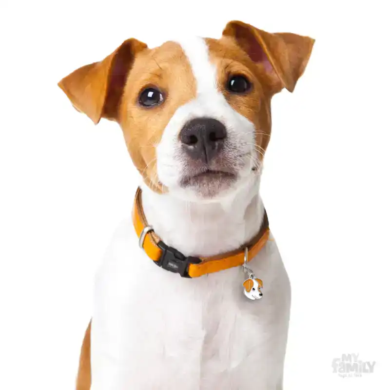 PENNING JACK RUSSEL L000012297