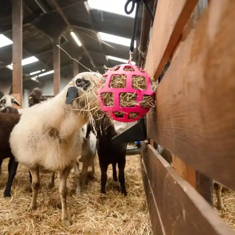 HAY SLOWFEEDER FUN AND FLEX 22 CM ROZE