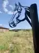 METALEN PAARD FORMAAT M
