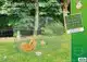 BOON DRAADREN PUNTDAK VERZINKT 90X75X75C