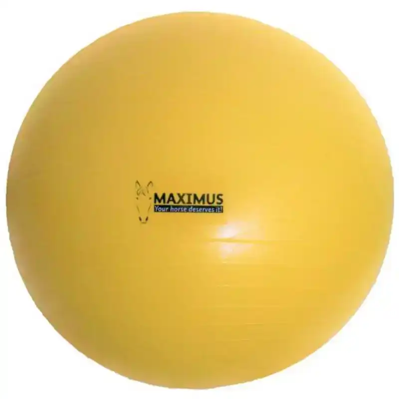 MAXIMUS POWER PLAY BALL 75CM