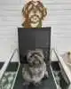 METALEN BOOMER KOP