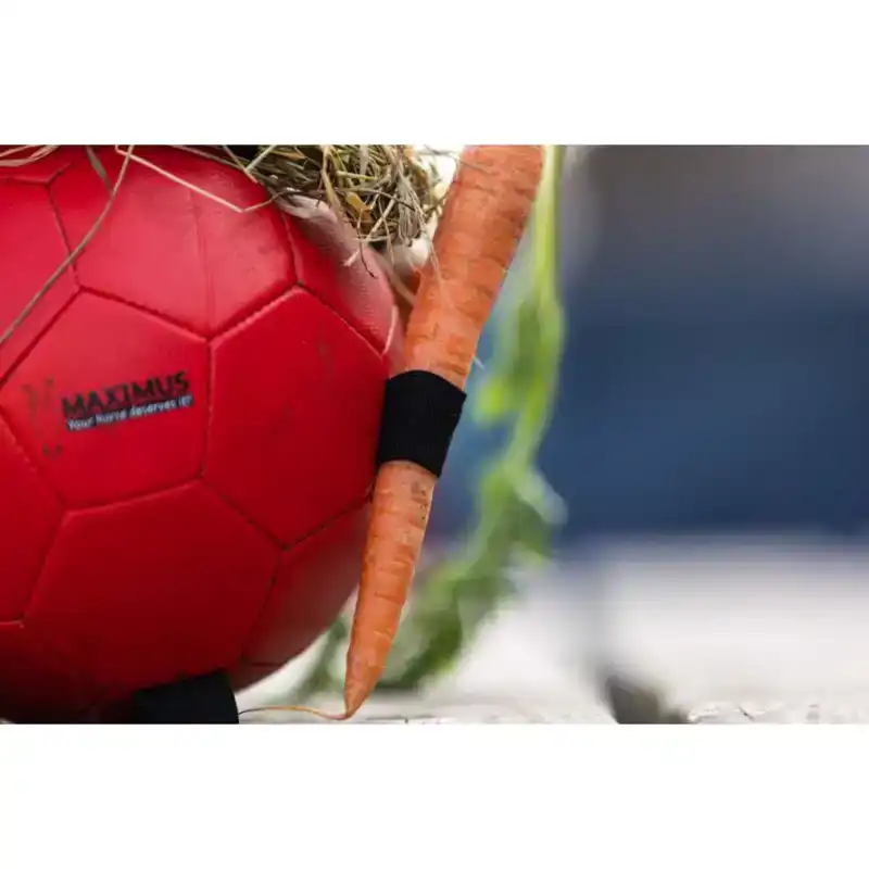 MAXIMUS FUN PLAY BALL PINK