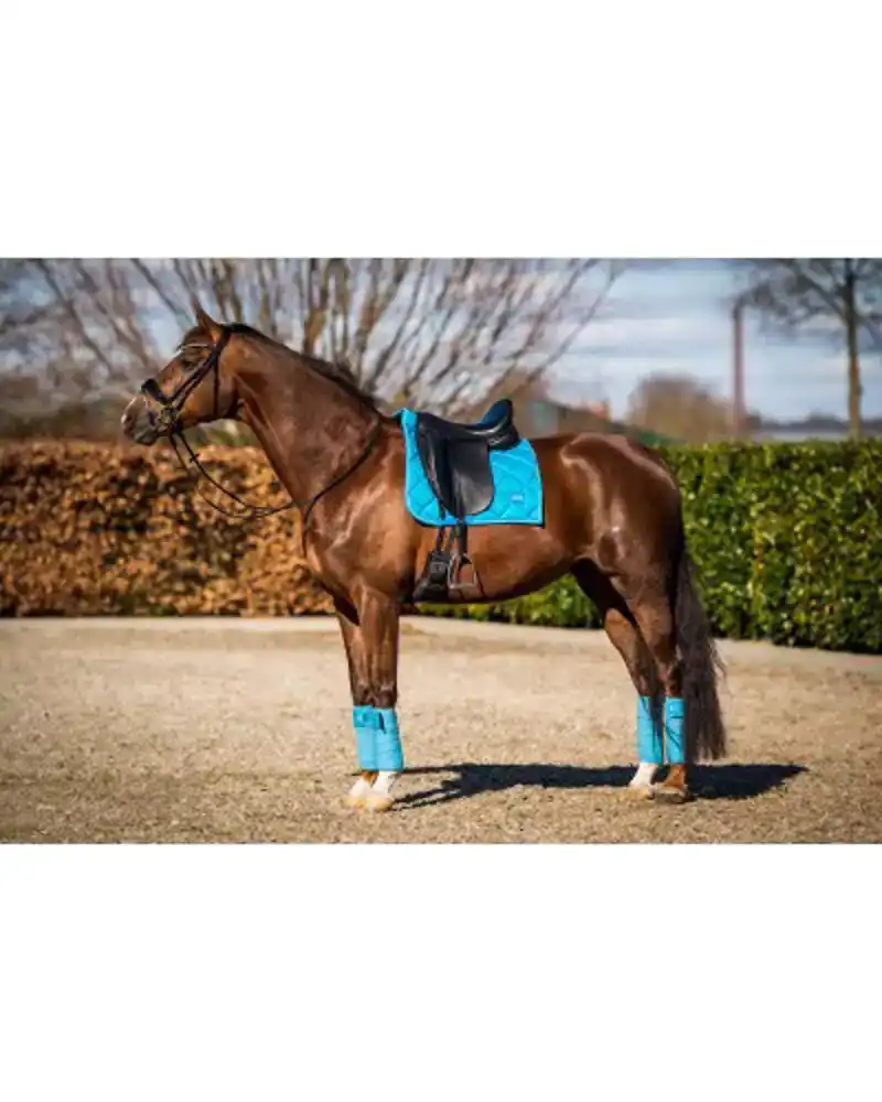SHOWTIME CROWN DRESSUUR ZADELDEK TURQUOISE FULL