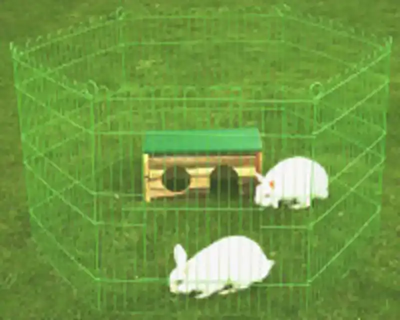 KONIJNEN DRAADREN 6 PANELEN APPELGROEN