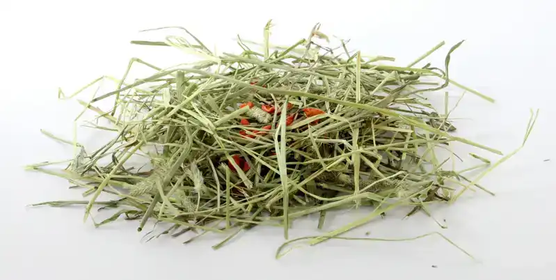 TIMOTHY HAY ECHINACEA & WORTEL
