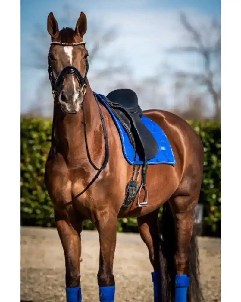 SHOWTIME CROWN DRESSUUR ZADELDEK ROYAL BLUE FULL