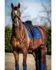SHOWTIME CROWN DRESSUUR ZADELDEK ROYAL BLUE FULL
