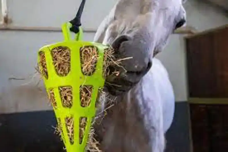 HAY SLOWFEEDER FUN AND FLEX 22 CM GROENE WORTEL