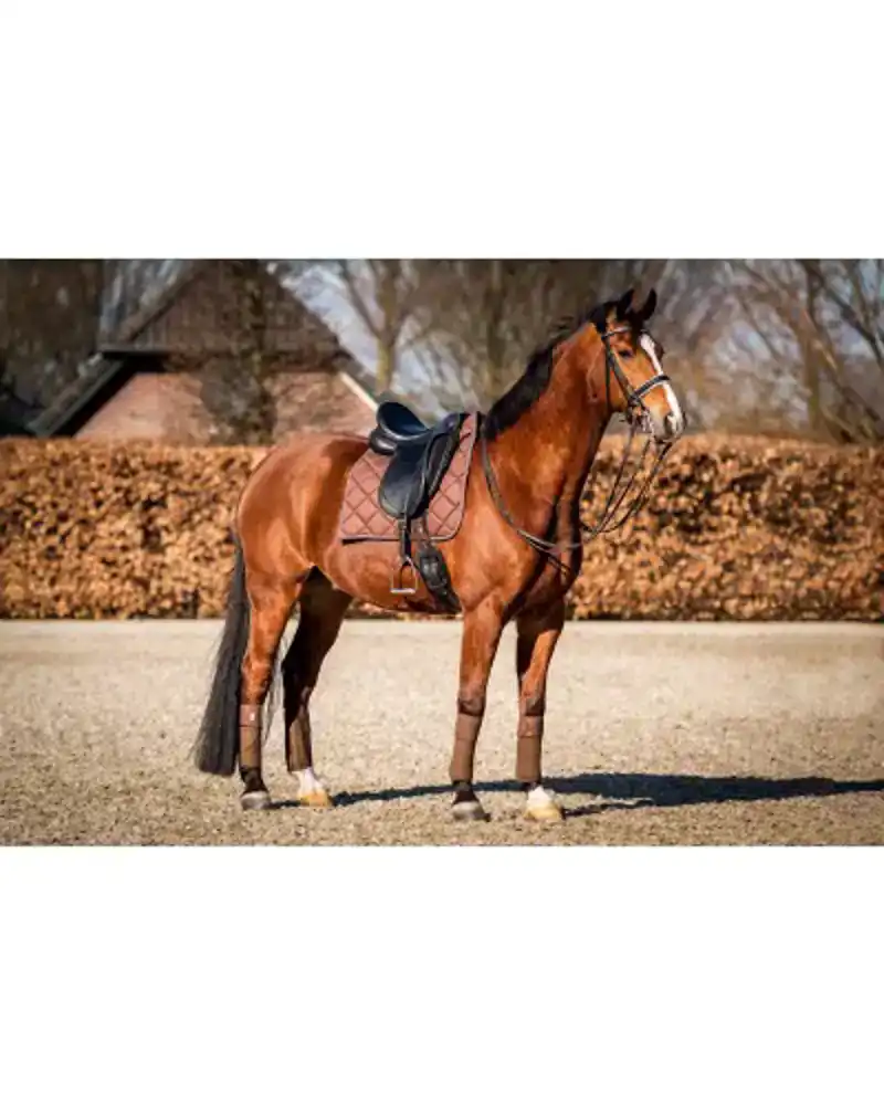 SHOWTIME CROWN DRESSUUR ZADELDEK BRUIN FULL