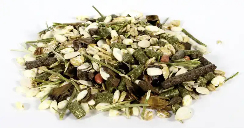 PET SALAD - GARDEN DELIGHT KNAAGDIER 175 GRAM
