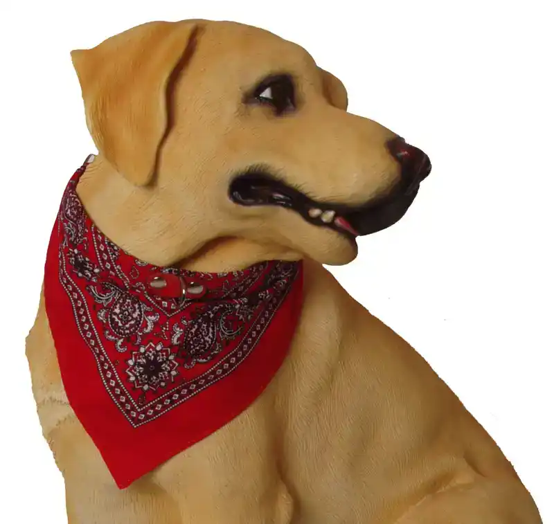 HALSBAND MET ZAKDOEK 35 CM ROOD