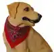 HALSBAND MET ZAKDOEK 35 CM ROOD