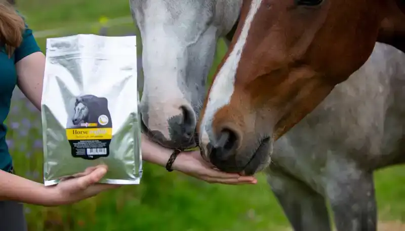 DIER ALL IN HORSE TRUFFELS BANAAN 1KG