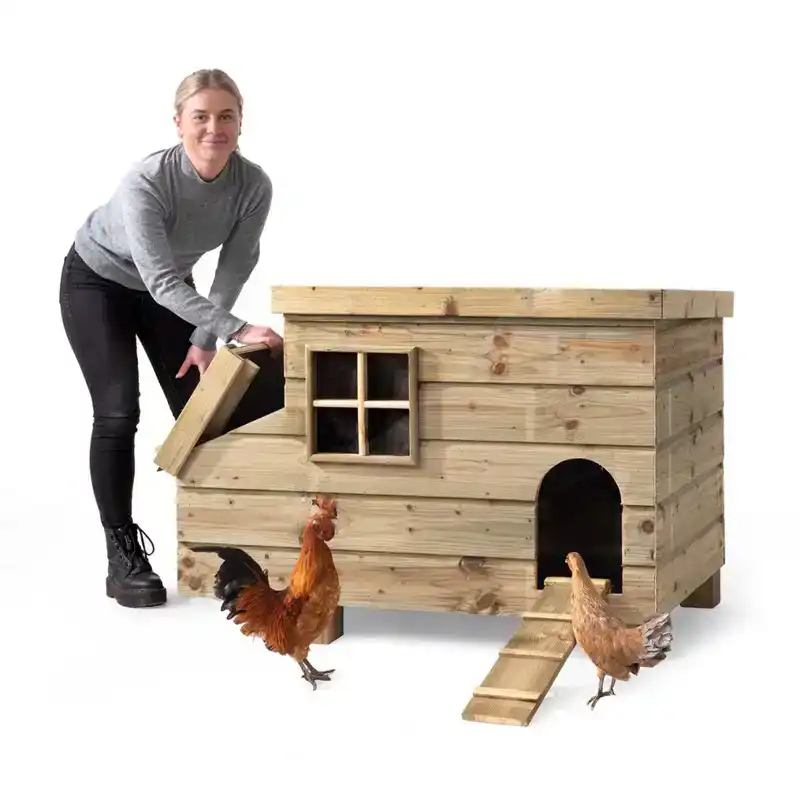 DAI KIPPENWONING BELLA