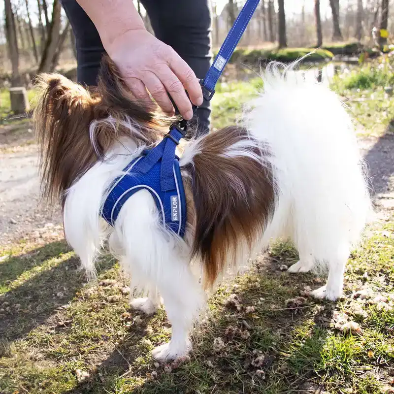 ULTIMATE FIT KLEINE HOND HARNAS XXS - 30-35CM BLAUW