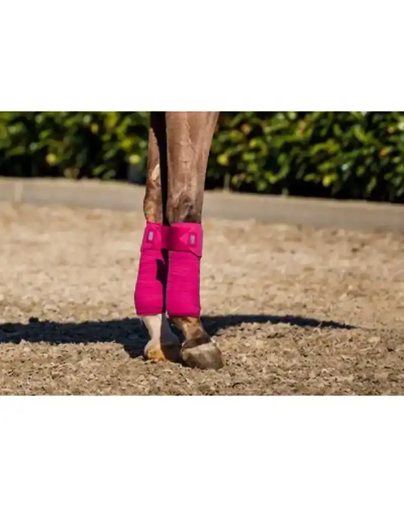 SHOWTIME CROWN BANDAGE SET 4 STUKS RASPBERRY