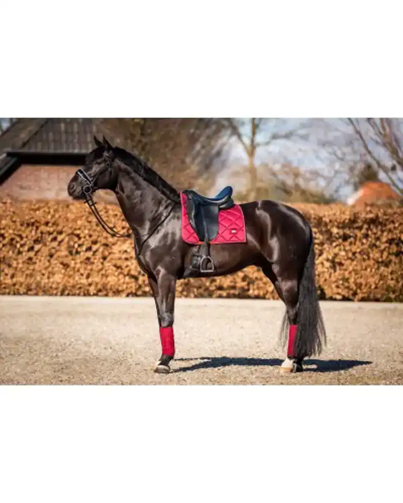 SHOWTIME CROWN DRESSUUR ZADELDEK BURGUNDY FULL