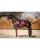 SHOWTIME CROWN DRESSUUR ZADELDEK BURGUNDY FULL