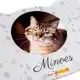 ONTWERP EEN PLACEMAT VOOR JOUW KAT!