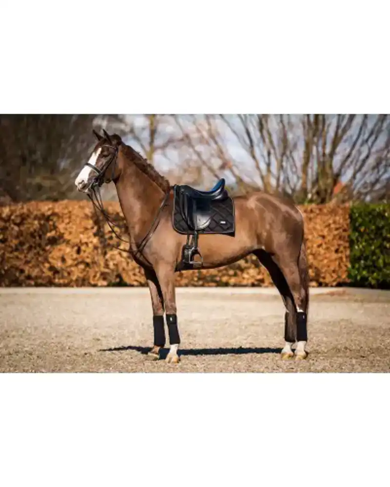 SHOWTIME CROWN DRESSUUR ZADELDEK ZWART FULL